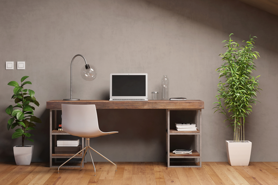 Home Office Decor Ideas: Plants